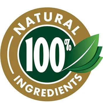 NerveAlive NerveAlive all natural plant-based ingredients